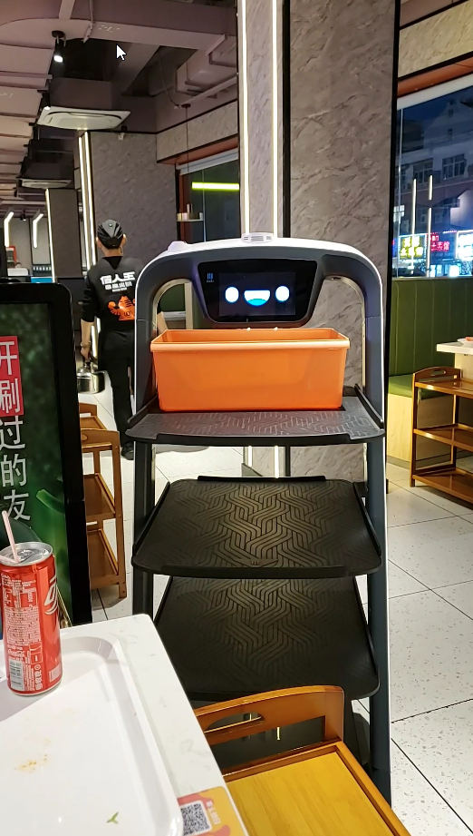 13 - robot waiter.png